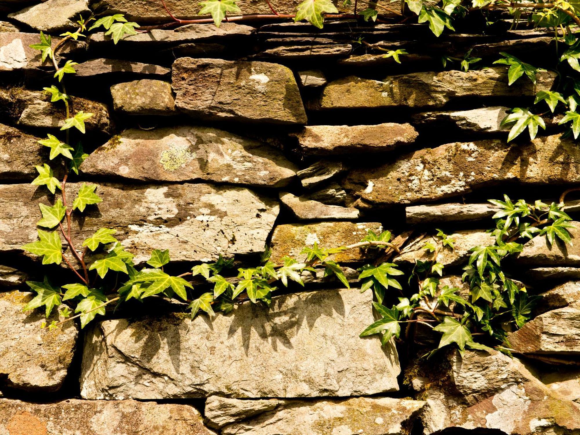 Yha Langdale * Ambleside