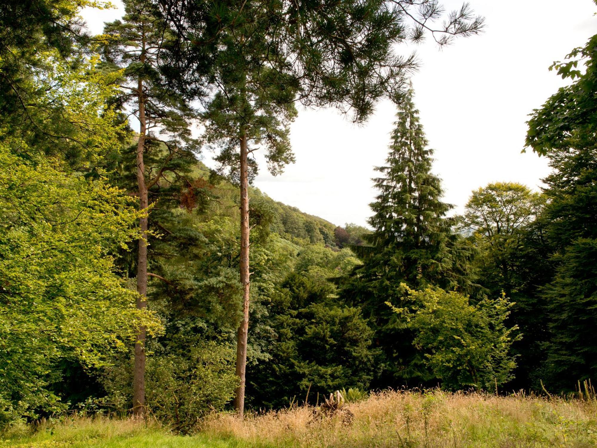 Hostel Yha Langdale
